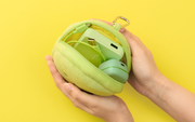SMISKI Cushion Pouch U1