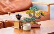 Play Plants Bonsai Puzzles Q4