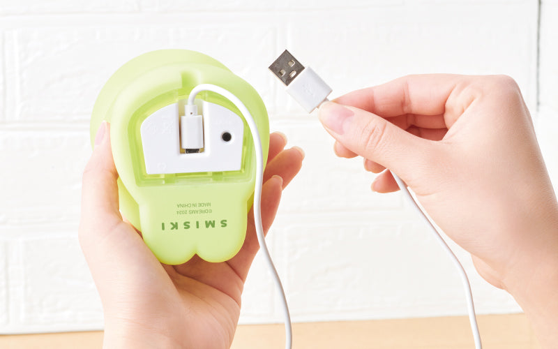 SMISKI Touch Light H2