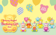 Birthday Gift Bear Series X9
