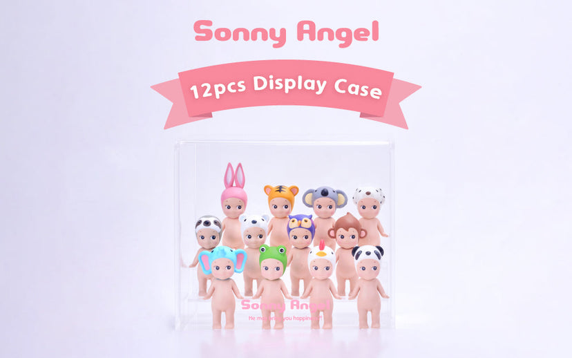 Acrylic Display Case H7