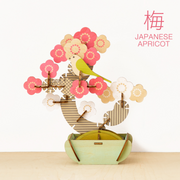 Play Plants Bonsai Puzzles Q4
