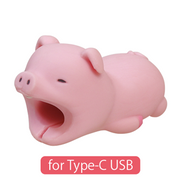 CABLE BITE for Type-C USB L4